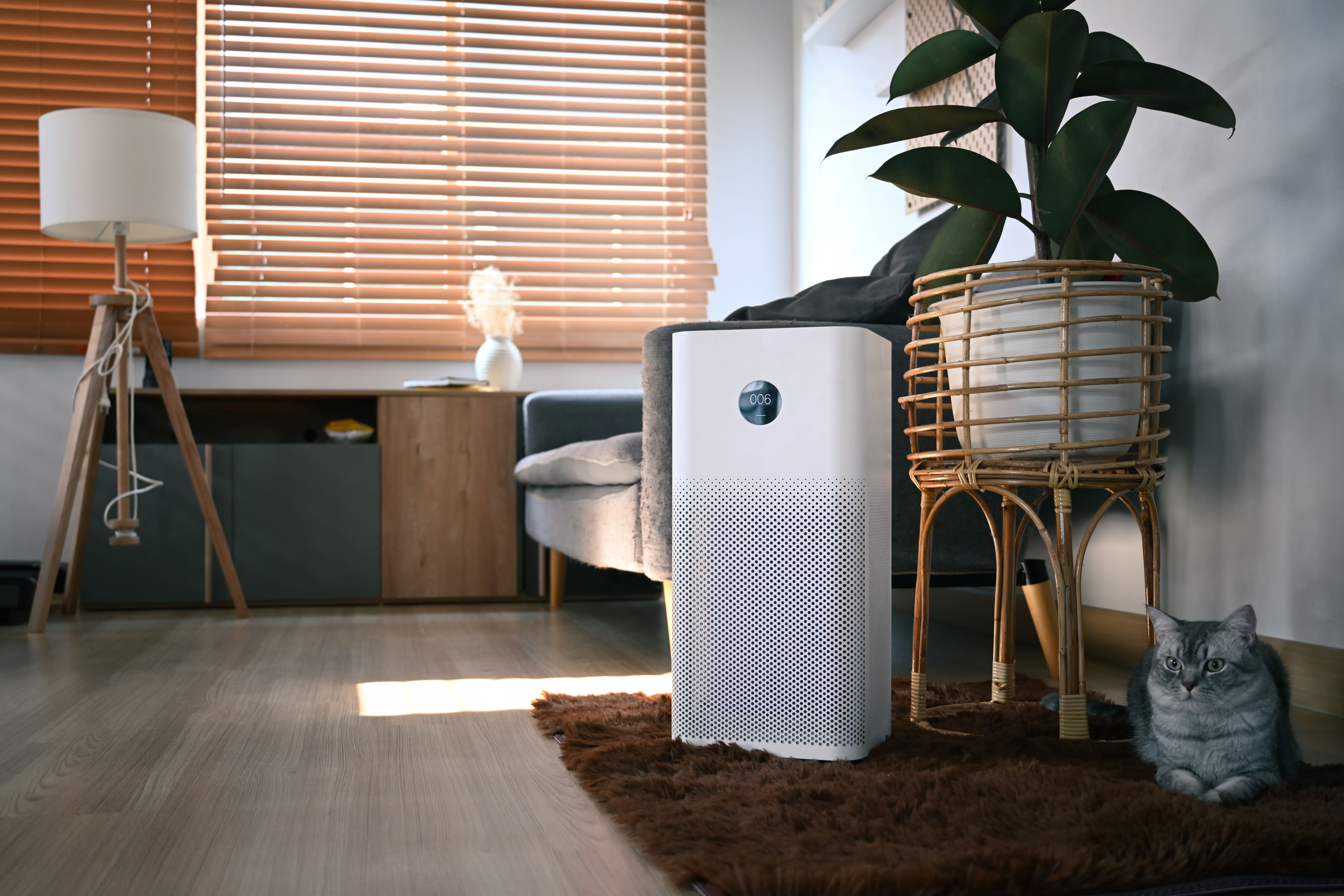 Mengapa Air Purifier Penting? Inilah Manfaatnya untuk Kesehatan dan Lingkungan