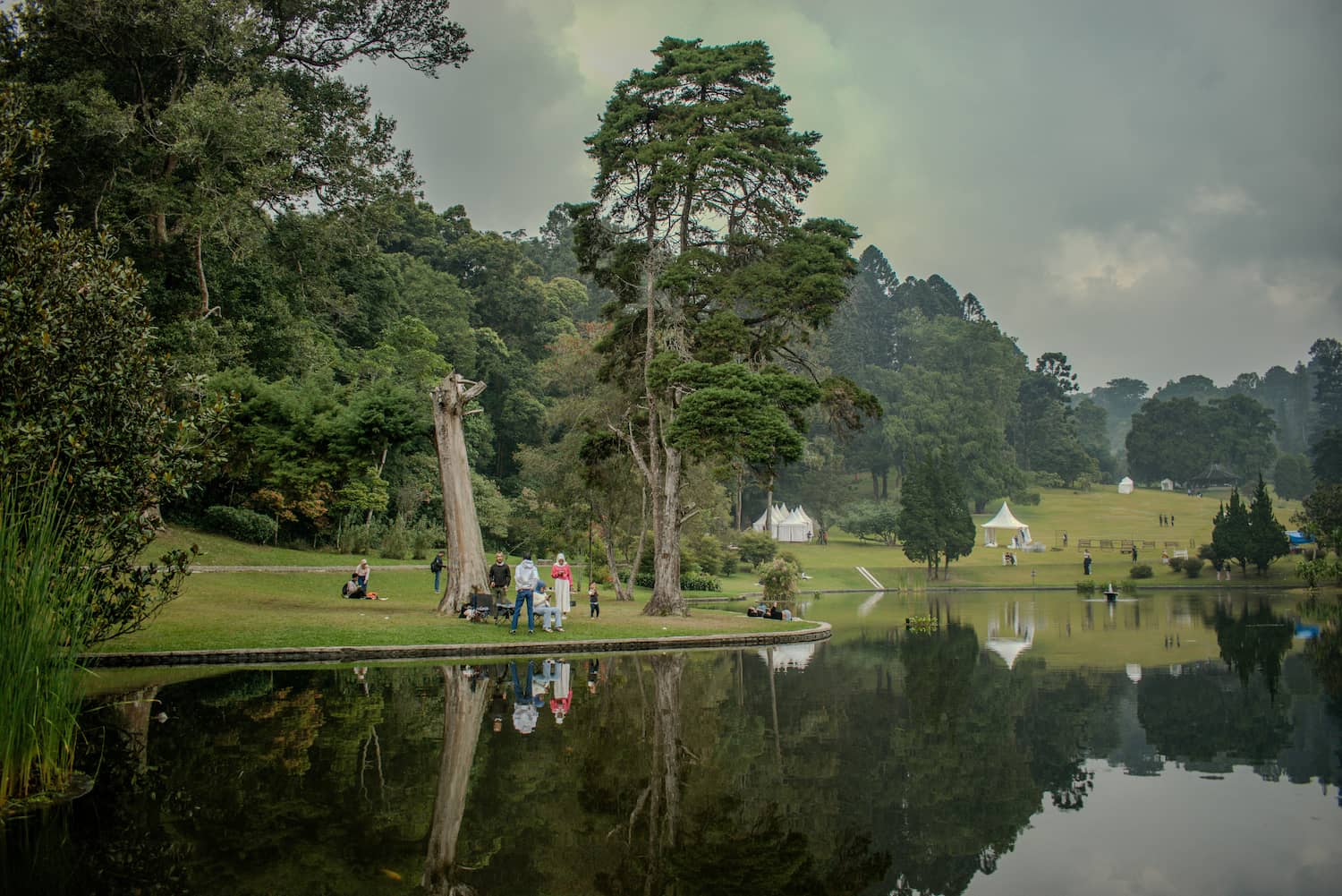 Kebun Raya Cibodas - DOKU.Promo