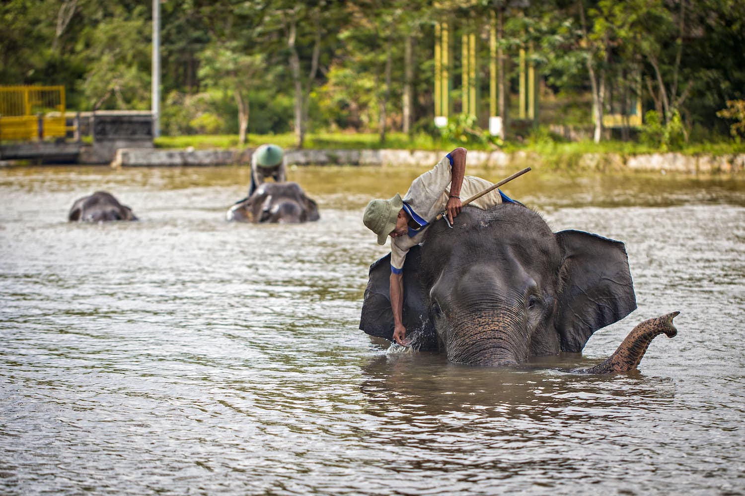 Taman Nasional Way Kambas, Indonesia - DOKU.Promo