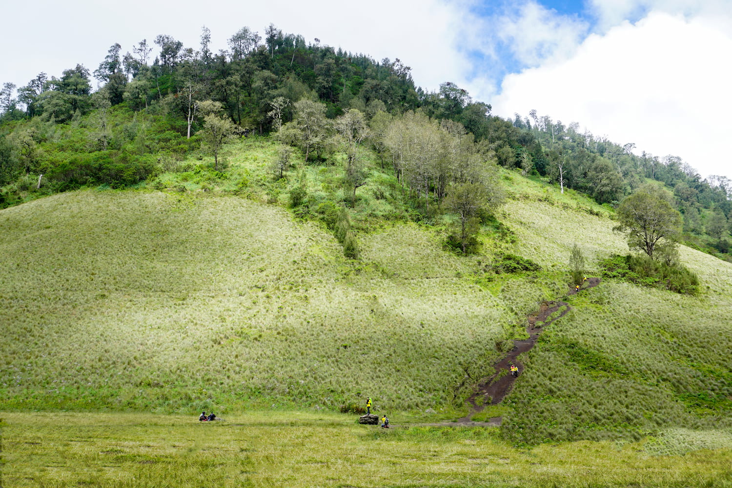 Bukit Teletubbies Gunung Bromo - DOKU.Promo