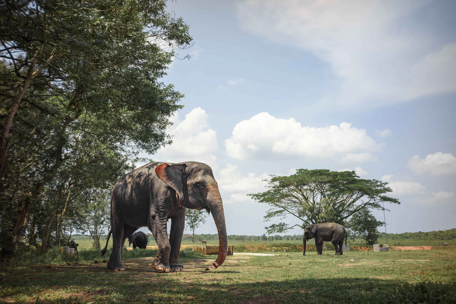 Taman Nasional Way Kambas - DOKU.Promo