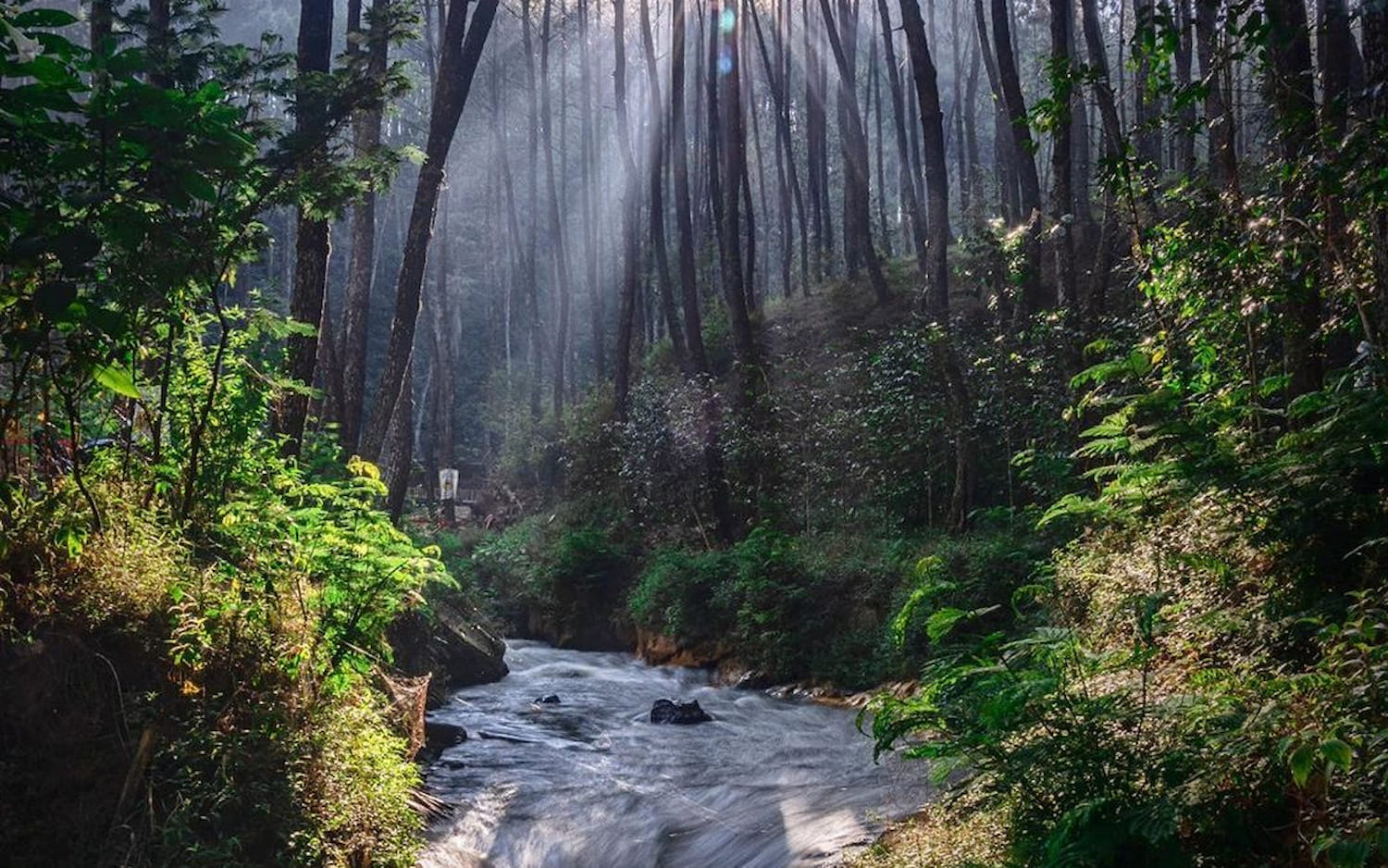 Kampung Singkur - DOKU.Promo
