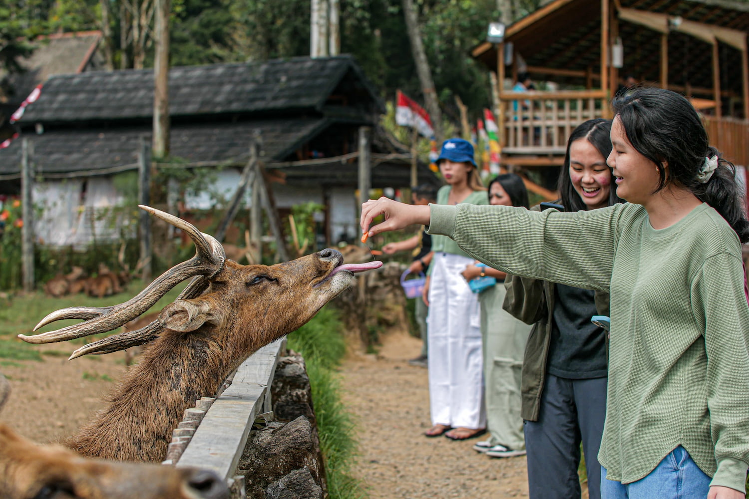 Wajib Mampir! 12 Destinasi Wisata Ciwidey Paling Ikonik