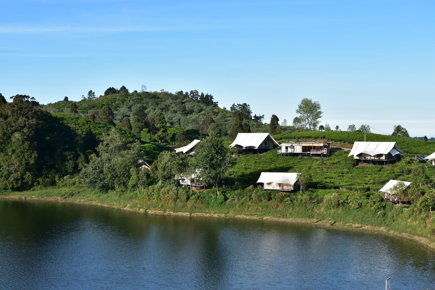 Kebun Teh Rancabali, Ciwidey - DOKU.Promo