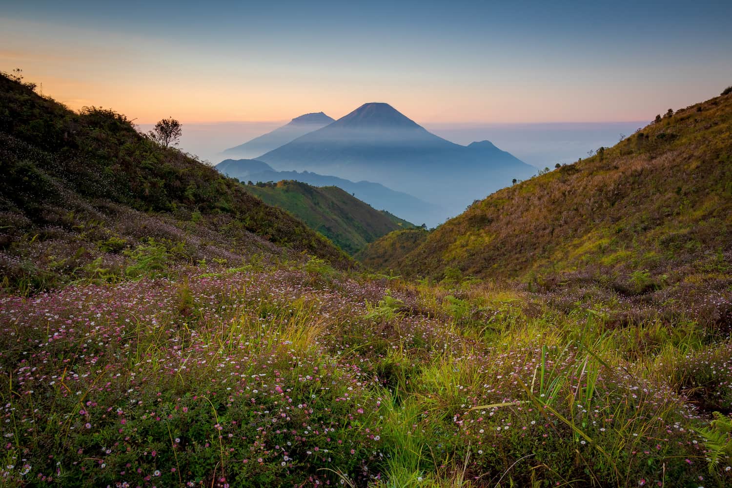 Gunung Prau Dieng - DOKU.Promo