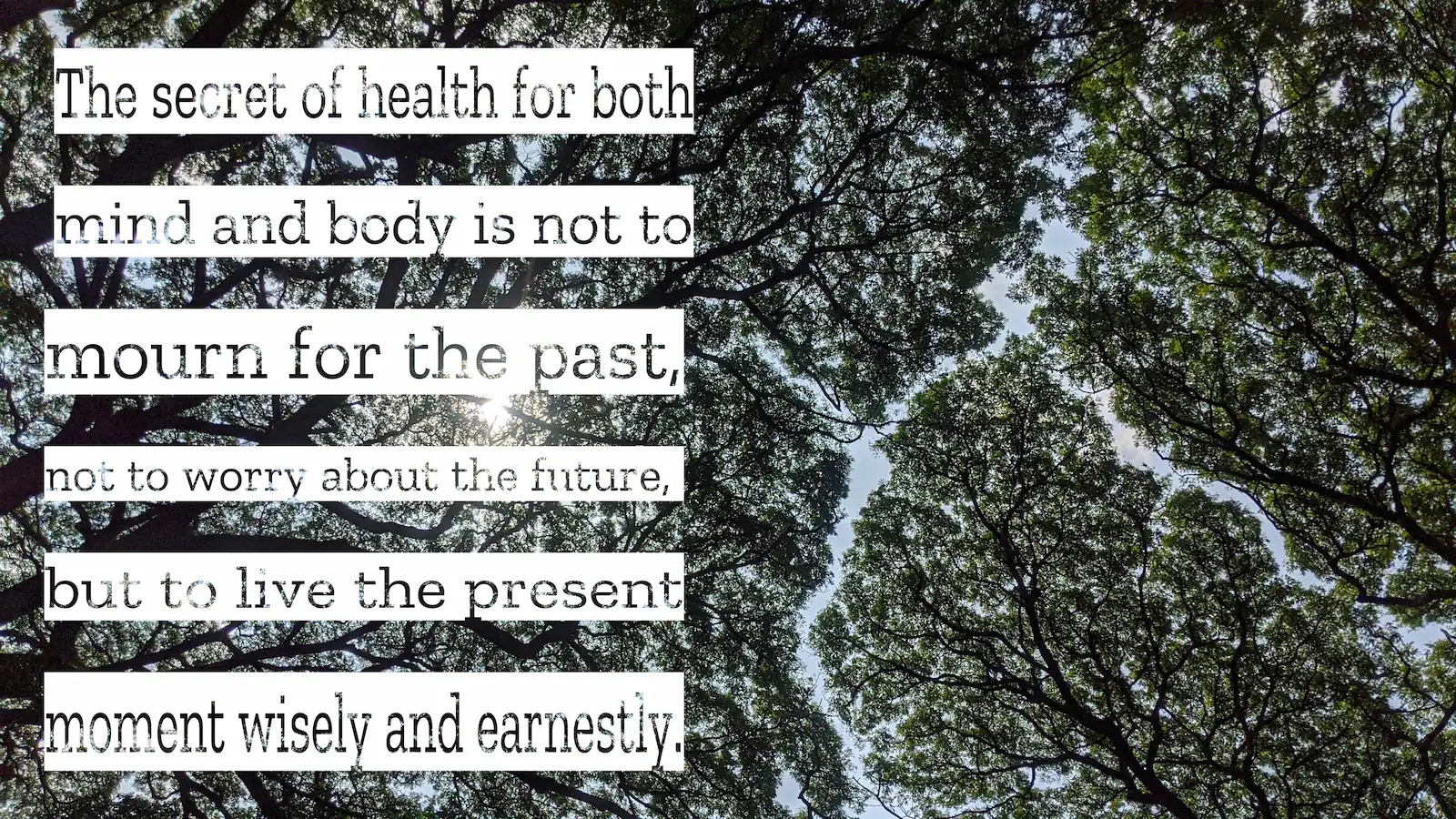 Quotes untuk Fokus ke Pekerjaan Hari Ini Tanpa Distraksi - DOKU.Promo