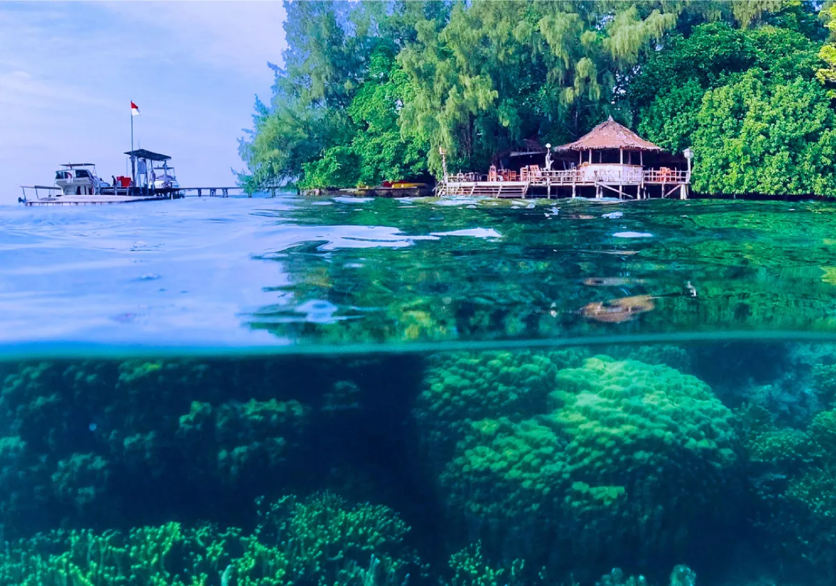 Quality Time di Pulau Macan Eco Lodge, Hemat Sampai 20%